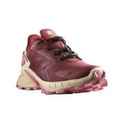 Hardloopschoenen Salomon Supercross 4 Gtx