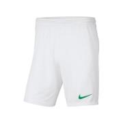 Korte Broek Nike Dry Park Iii Nb K