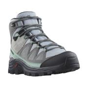 Wandelschoenen Salomon Quest Rove Gtx