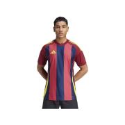 T-shirt Korte Mouw adidas Striped 24 Jsy