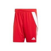 Korte Broek adidas IR9379