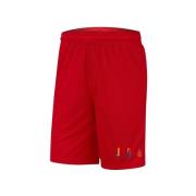 Korte Broek Nike Air Jordan Dna Shorts