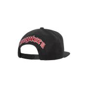 Pet Mitchell And Ness Nba Toronto Raptors