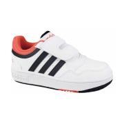 Lage Sneakers adidas Hoops 3.0 Cf
