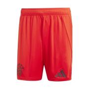 Korte Broek adidas Fcb