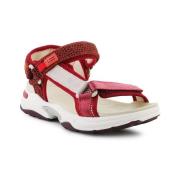 Sandalen D.Franklin DFSH406003BURG