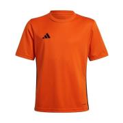 T-shirt Korte Mouw adidas JJ1157