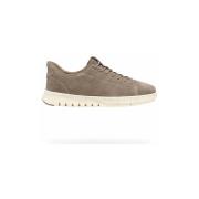 Lage Sneakers Geox SNEAKERS FLEXTRIDE PLUS