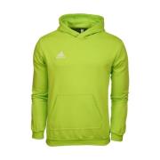 Sweater adidas Entrada 22