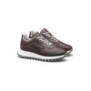 Lage Sneakers Lloyd -