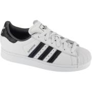 Lage Sneakers adidas adidas Superstar II W