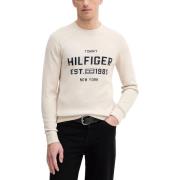 Trui Tommy Hilfiger ATHLEISURE CREW NECK MW0MW39533