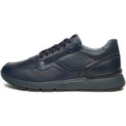 Lage Sneakers NeroGiardini Sauvage Sauvage Dark Grey Pu.Bidens.Poggio ...