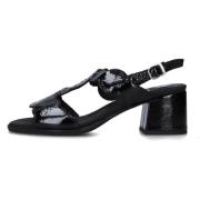 Pumps CallagHan 34205