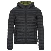 Donsjas Teddy Smith BLIGHTER