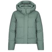 Donsjas Vero Moda VMGRETAKYLIE