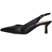 Pumps Andrea Pinto 102