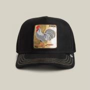Pet Goorin Bros 101-2531-VOI-GOLDEN COCK