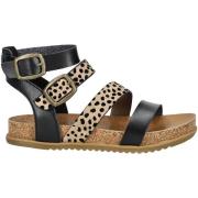 Sandalen Blowfish Malibu Sandalen