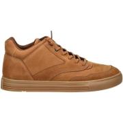 Hoge Sneakers Lloyd Sneaker