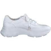 Lage Sneakers Paul Green Sneaker