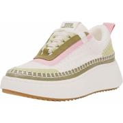 Sneakers Steve Madden Sneaker