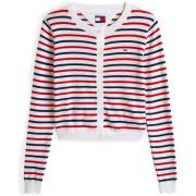 Vest Tommy Jeans Tjw Essential Crew N