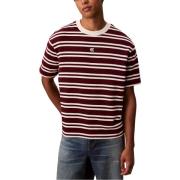 T-shirt Korte Mouw Calvin Klein Jeans SS HVYWT STRIPE JERS LV04RC235G