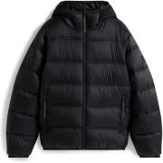 Donsjas Tommy Jeans Tjm Hooded Logo Puffer Ext