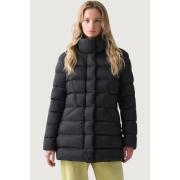 Donsjas Colmar IN2521862YO 99