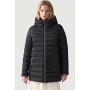 Donsjas Colmar IN2522332YO 99