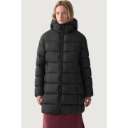 Donsjas Colmar IN2522432XX 99