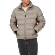 Donsjas Only And Sons -