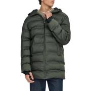 Donsjas Only And Sons -