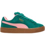 Lage Sneakers Puma 396579_36_suede_xl_ac_inf