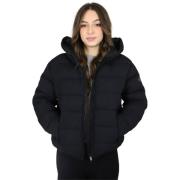 Windjack Take Two DT00751