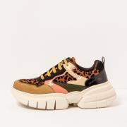 Klassieke Schoenen Art 1163511FH003