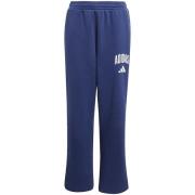 Trainingsbroek adidas J Clgt Fl Pnt