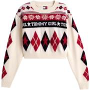 Trui Tommy Hilfiger DW0DW22498