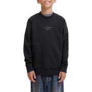 Sweater Jack &amp; Jones -