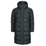 Donsjas BOSS H-Cenuto