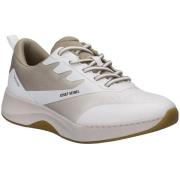 Lage Sneakers Josef Seibel -