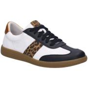 Lage Sneakers Josef Seibel -