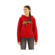 Sweater Superdry Sweat à capuche Tattoo Script Graphic