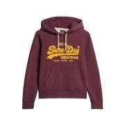 Sweater Superdry Sweat à capuche Chenille Vl Graphic