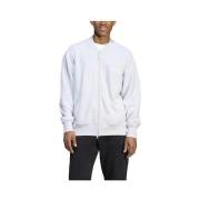 Sweater adidas Sweat à capuche Elevated All Szn Terry Loop