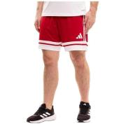 Korte Broek adidas Short Squadra 25 Rouge