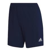 Korte Broek adidas Short Entrada 22 bleu marine