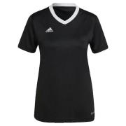 T-shirt Korte Mouw adidas T-shirt Entrada 22 Femme