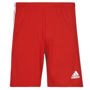 Korte Broek adidas SQUAD 21 SHO